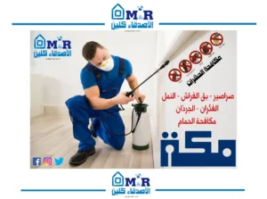 شركة مكافحة حشرات بمكة الاصدقاء كلين